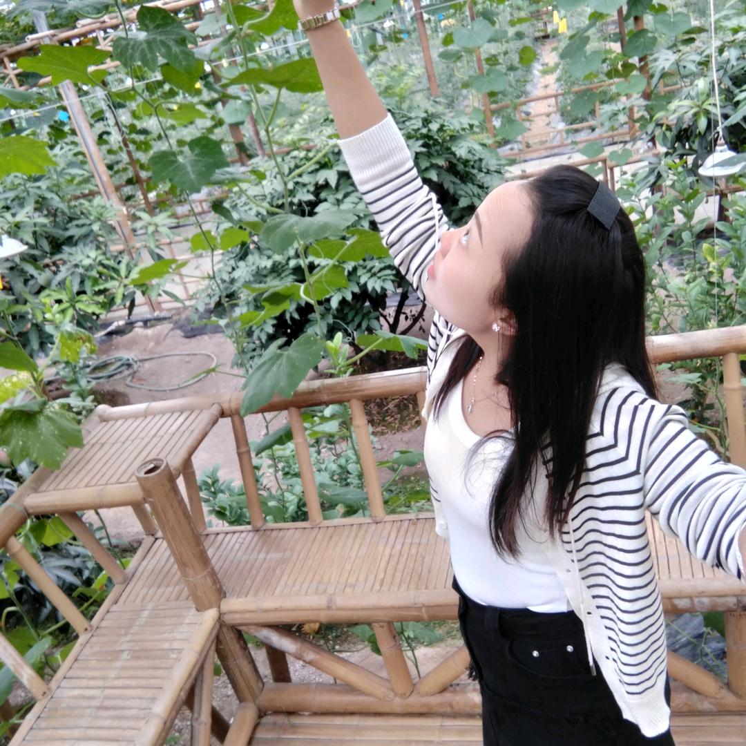 小杨杨