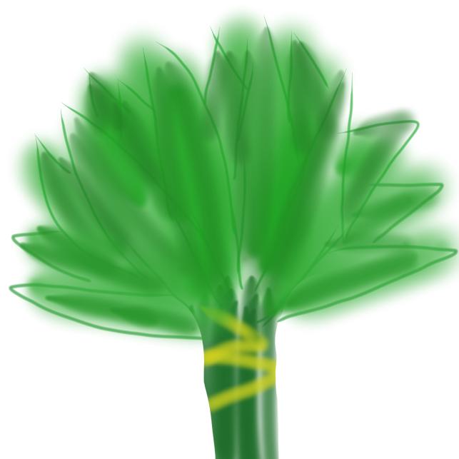 做饭ing（求破2000粉版）