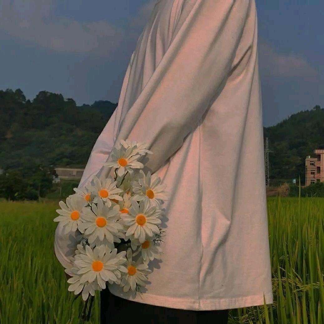蝎.