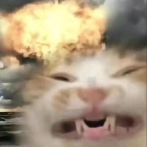 …… … …… ！