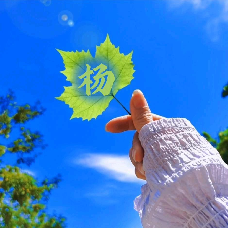 清风