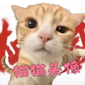 猫meme（小曹）
