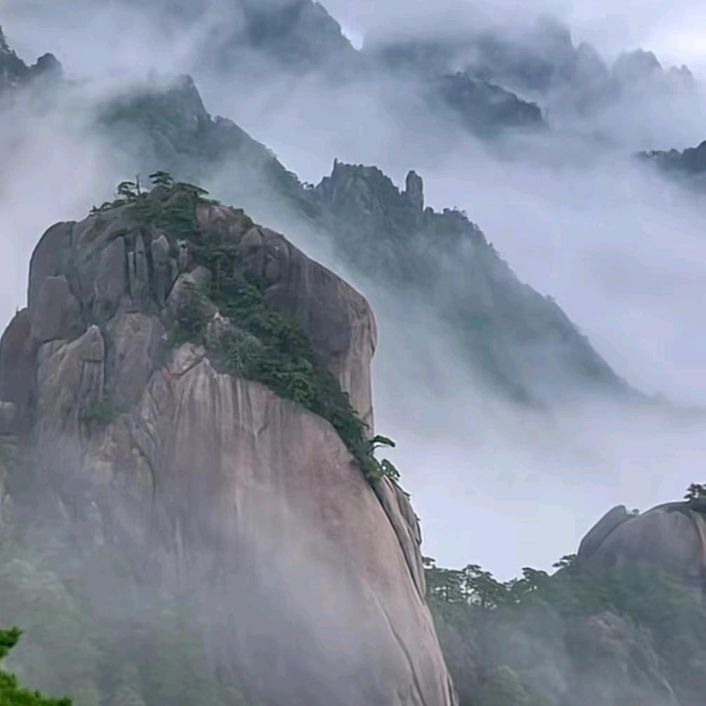 广东辫子哥@琛粤