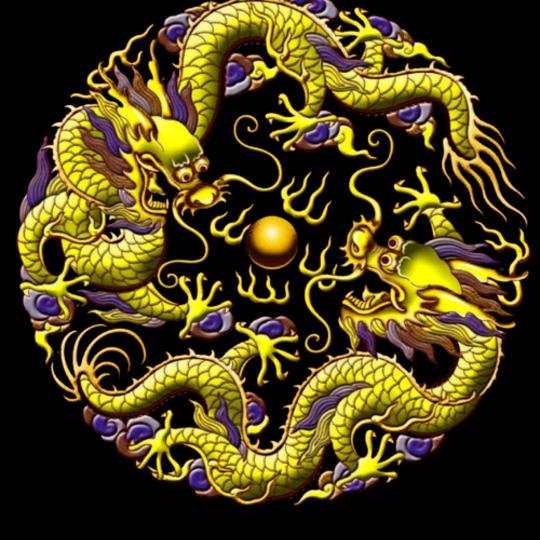 羽化那些年