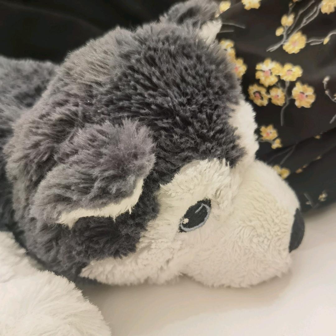 悲伤苦瓜