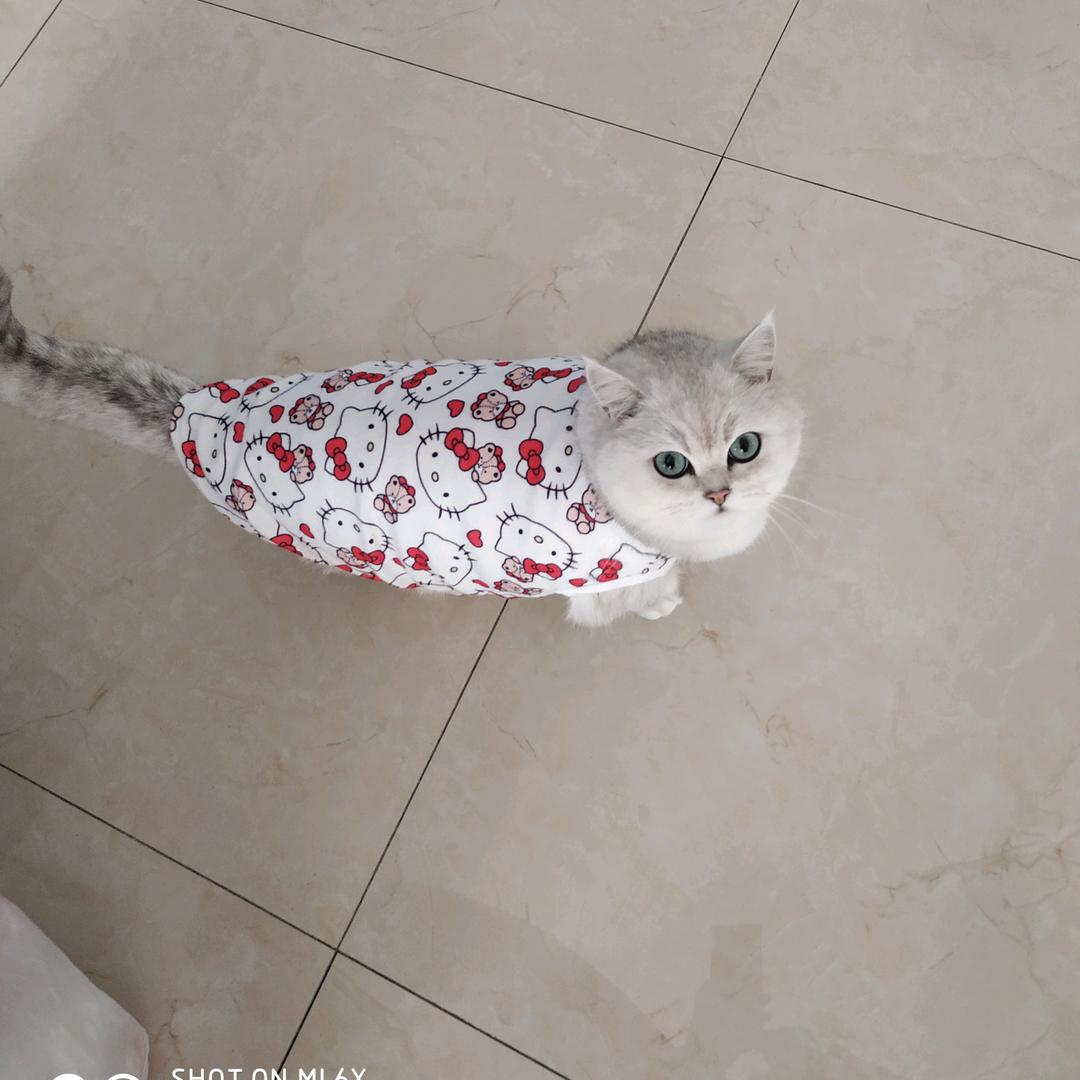 用户7698017506612