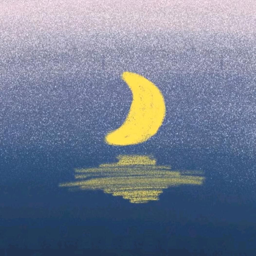 人间浪漫🐬