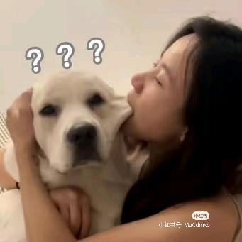 爱吃肉的熊熊