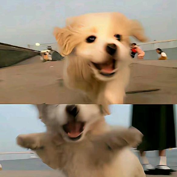 Yee