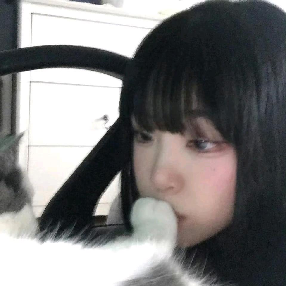 小狸花