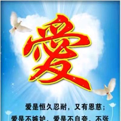 ZOCI安住当下滋补养生专卖店