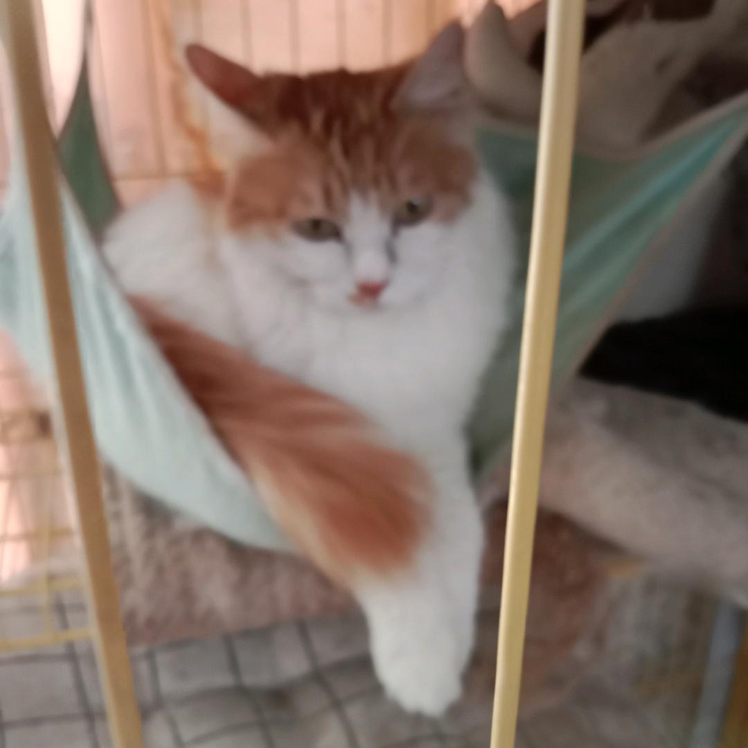 小迷糊睡不醒⁸⁹⁰⁵