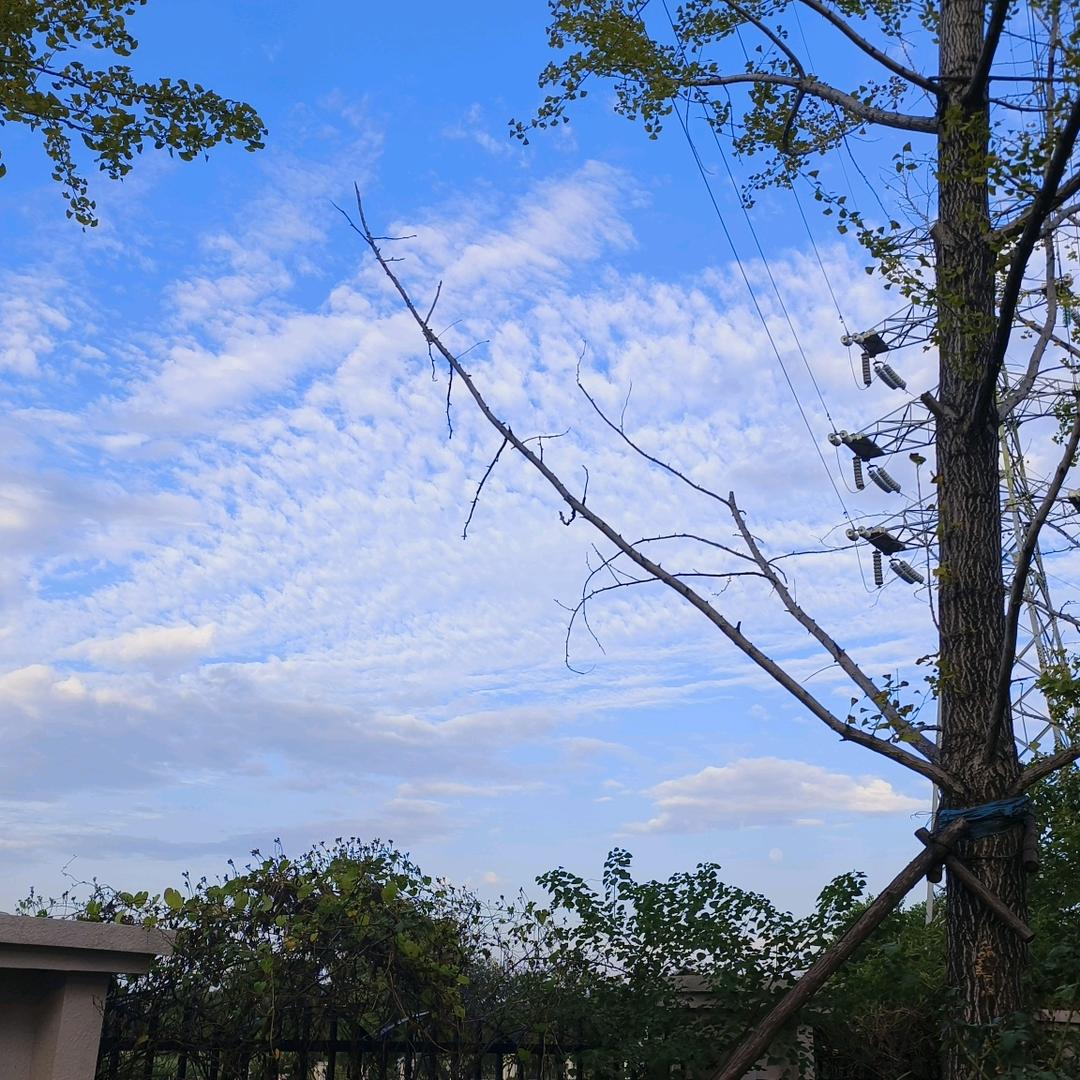 做自己的太阳🌞