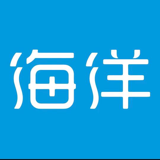 比亚迪海洋临沂欢迪王梦阳