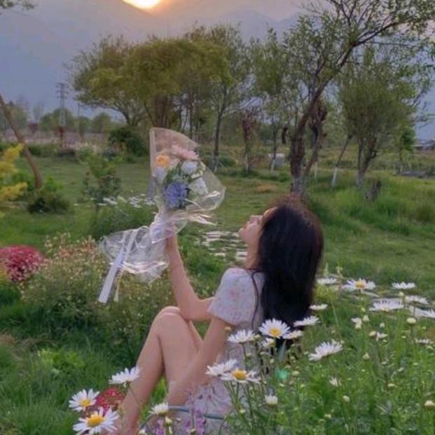 玫瑰的寻常