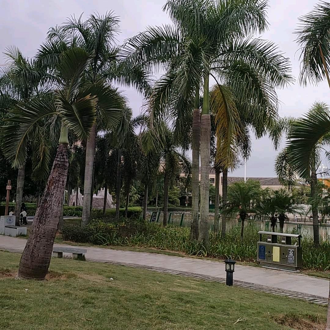 涵涵