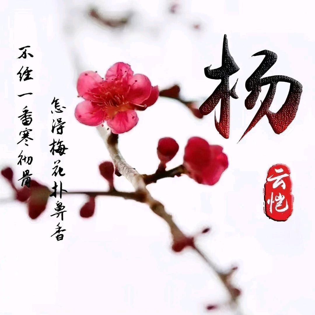 一切安好😊