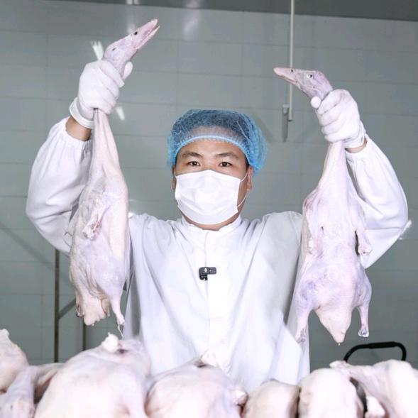 御陵卤味熟食供应链