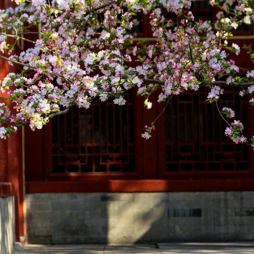 福岁推书