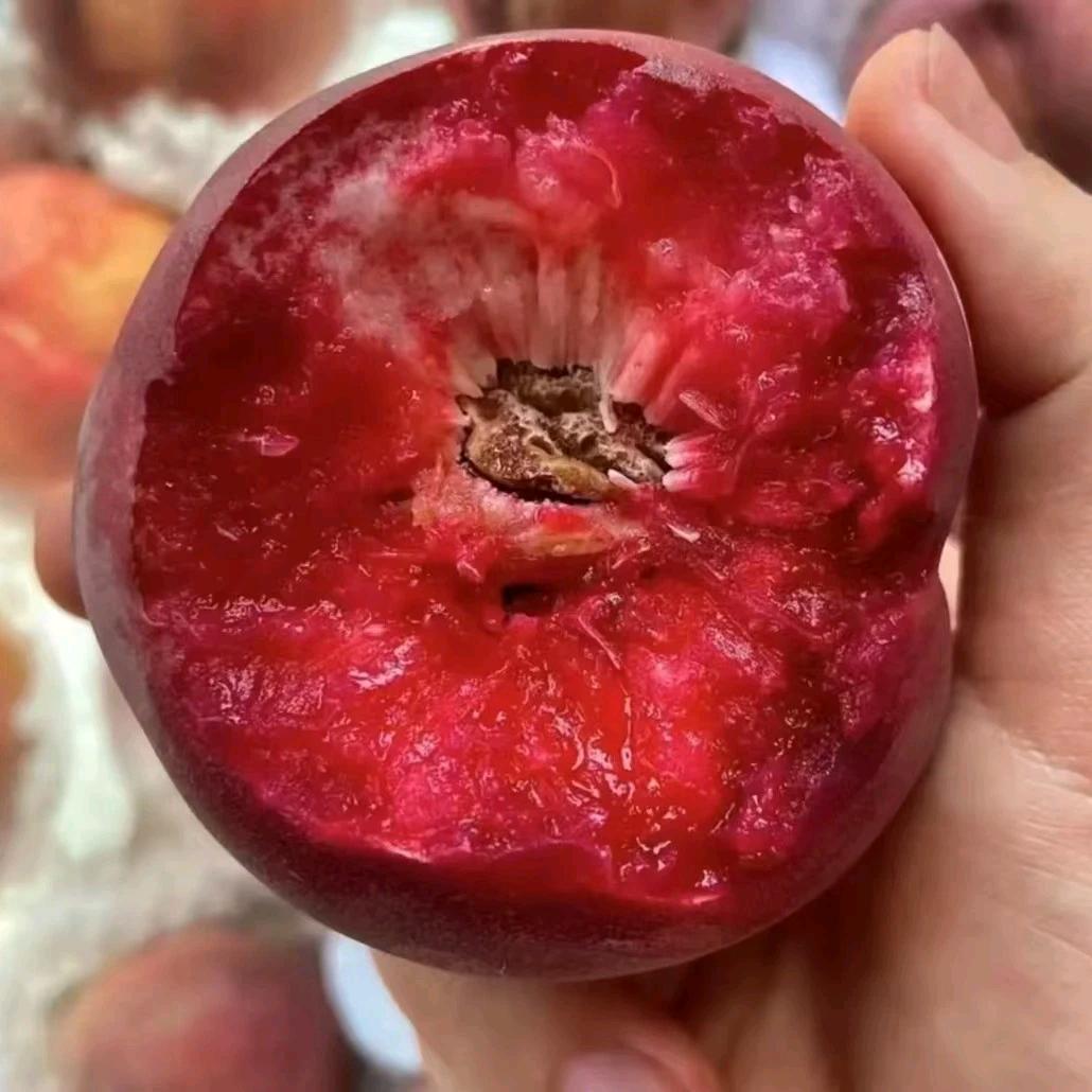 卉双鑫旭果树苗木专卖店