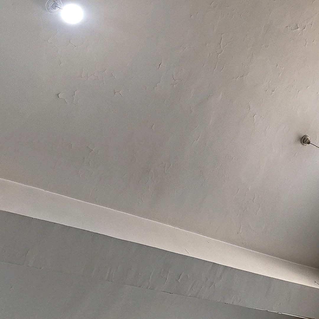 默