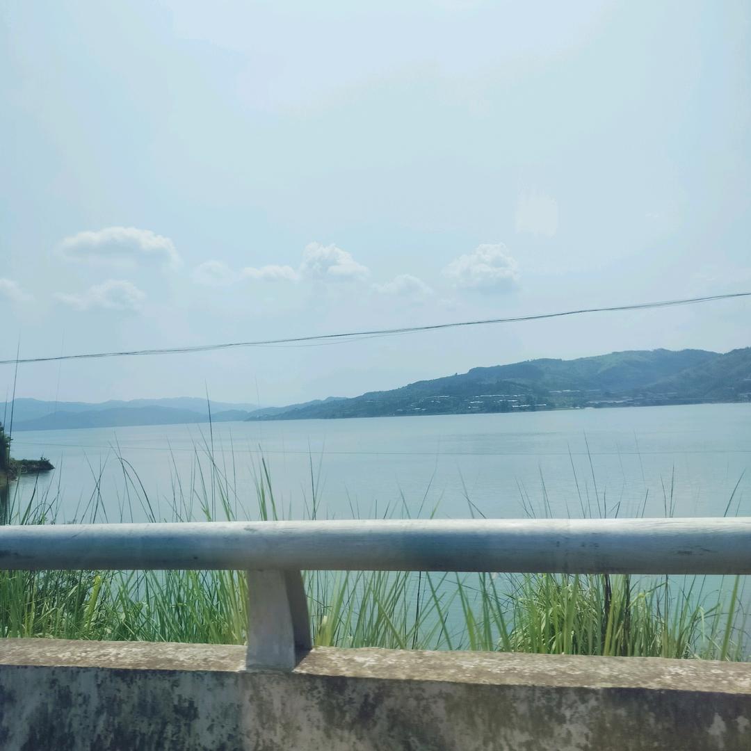 洲柚柚（拒绝私聊）