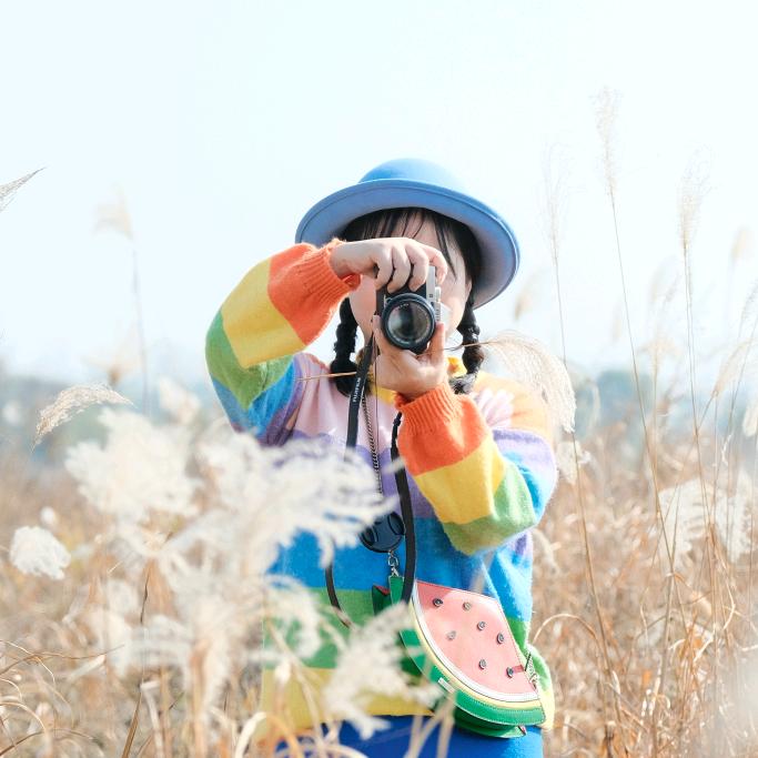 向日葵📷日记