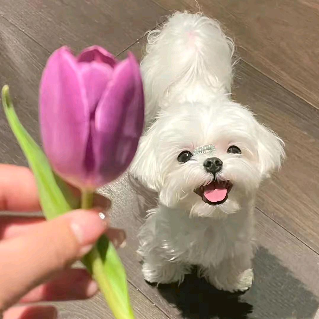 梁潮伟