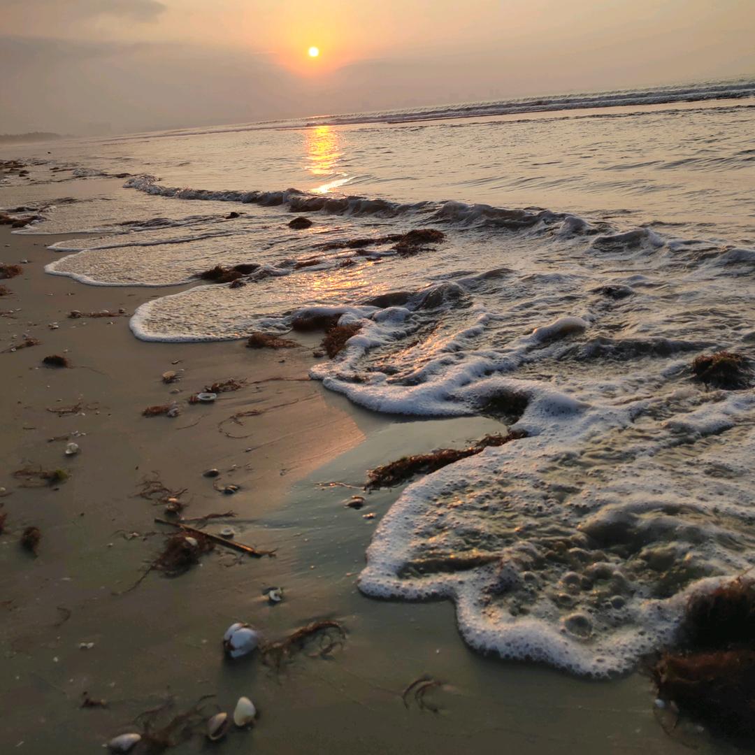 yang♏️⁰⁵¹¹