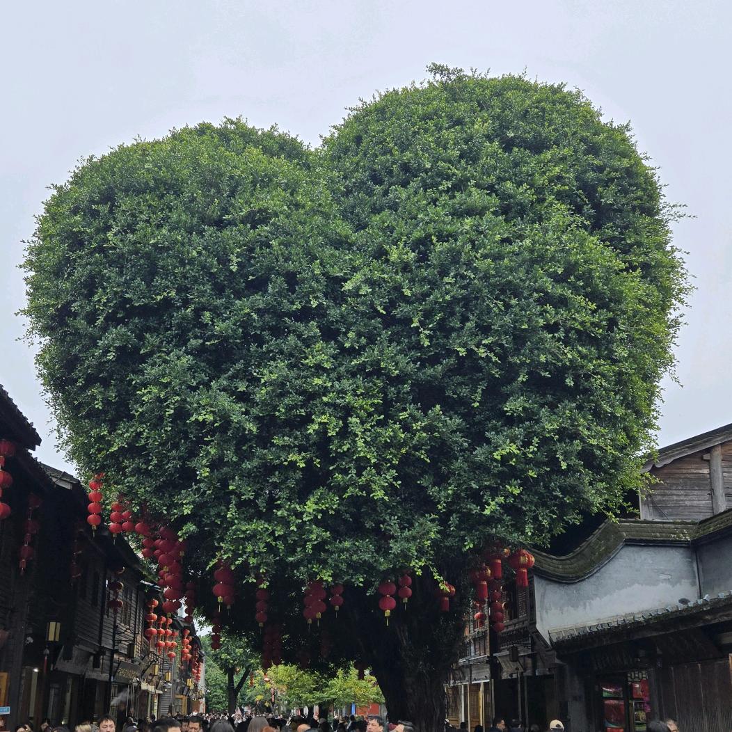 陈功暴富