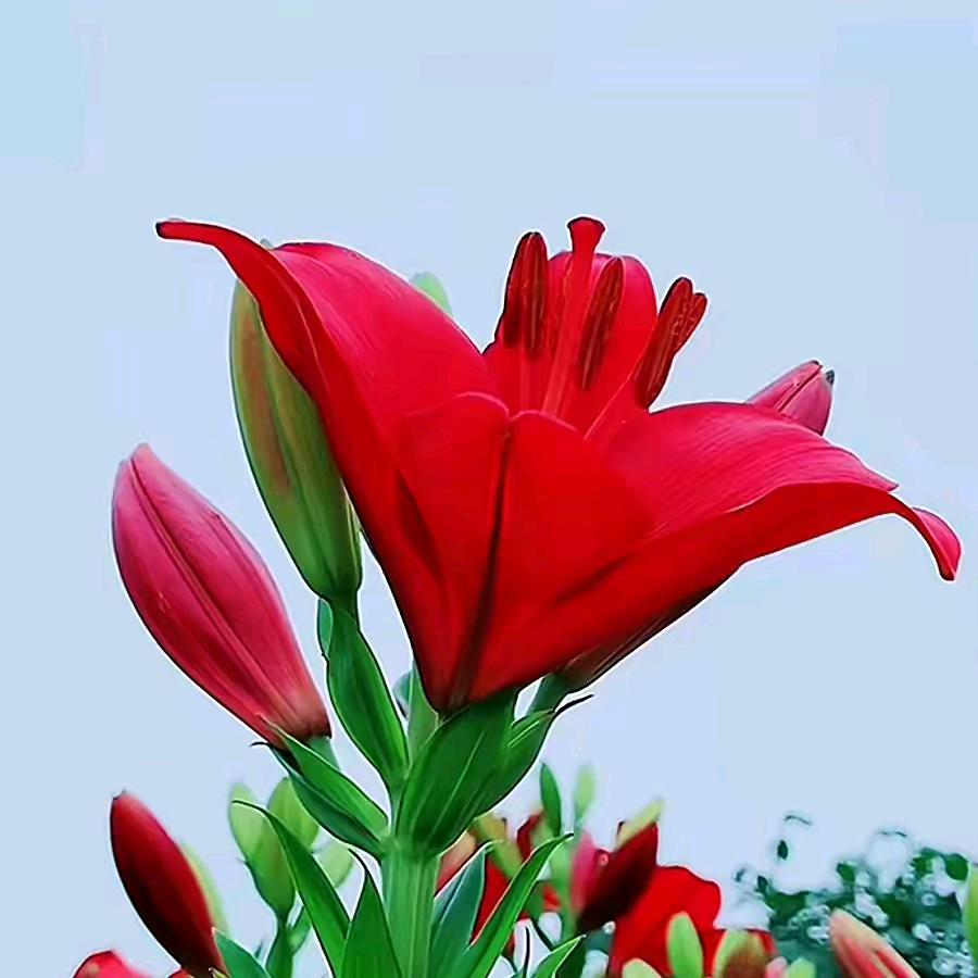月月快乐