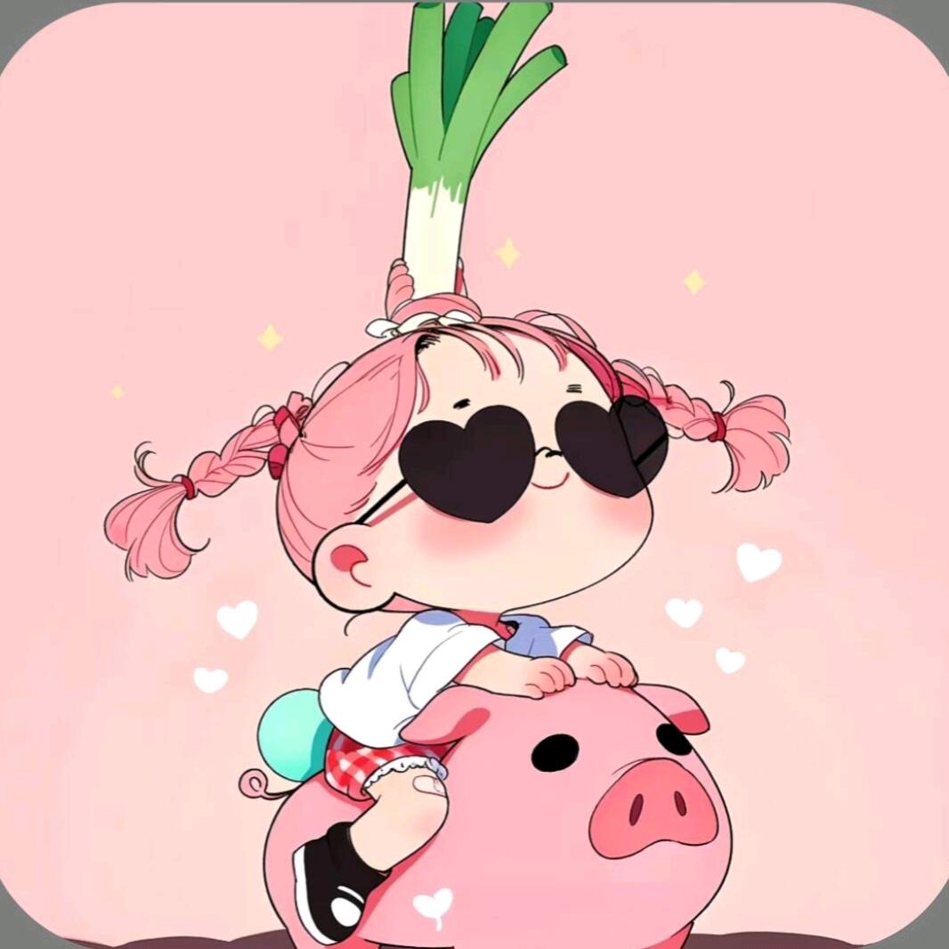 淘趣小壳