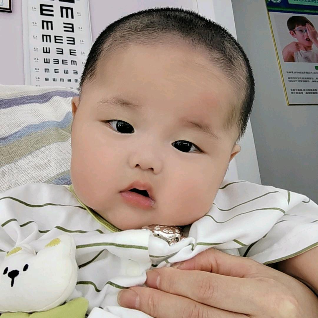 桐林宝宝