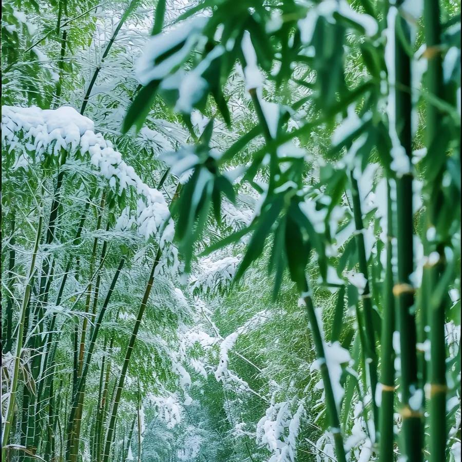 ꦿ࿐封心ღ᭄ꦿ锁爱