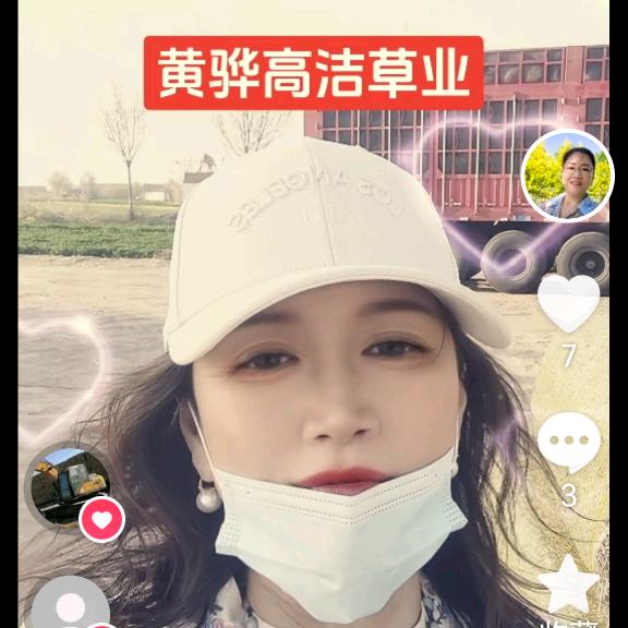 黄骅高洁草业