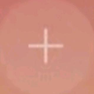 66