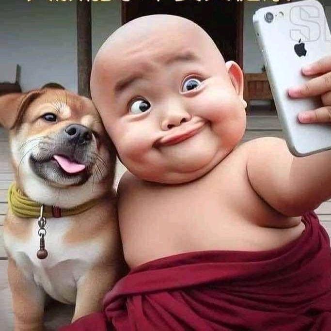 美丽人生流星狗