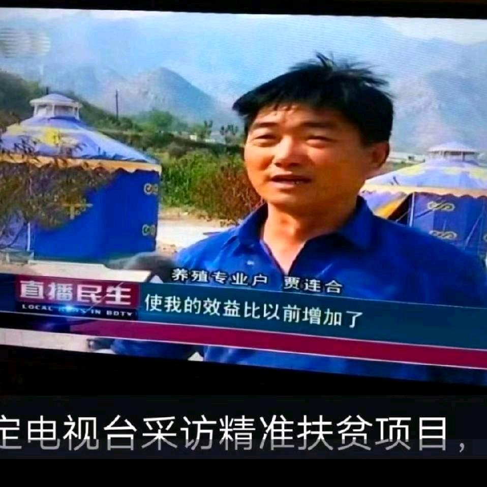 长峪老贾狼牙山散养黑猪