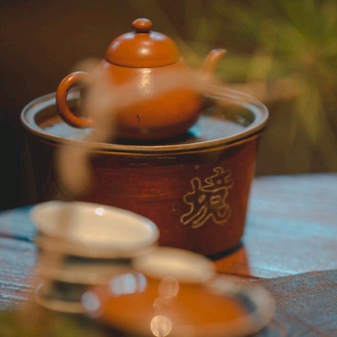 毛毛爱吃肉