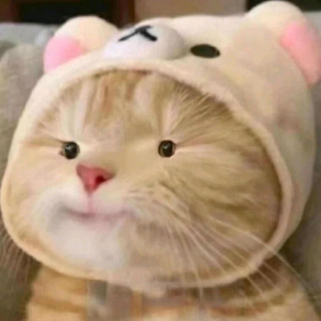 师师要开心
