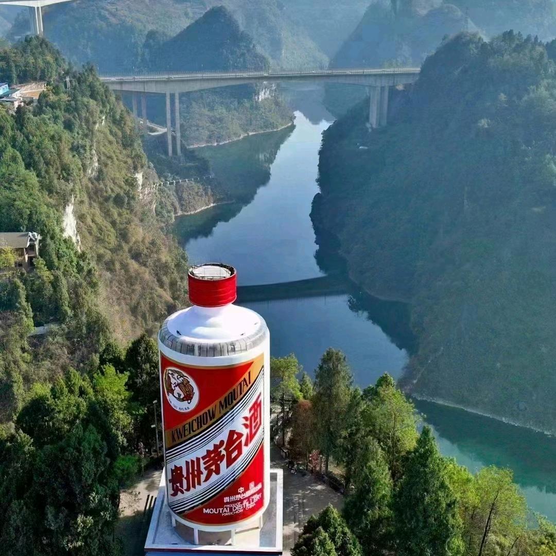 大麦归来