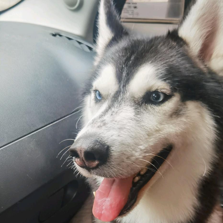 🌈成都彭于晏之龙泉分晏