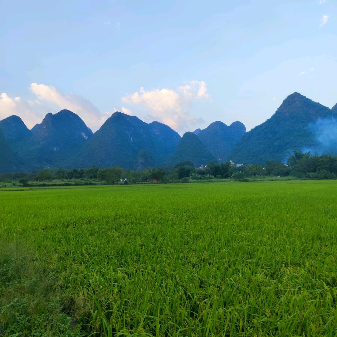 爱旅行&拍照的可可猫