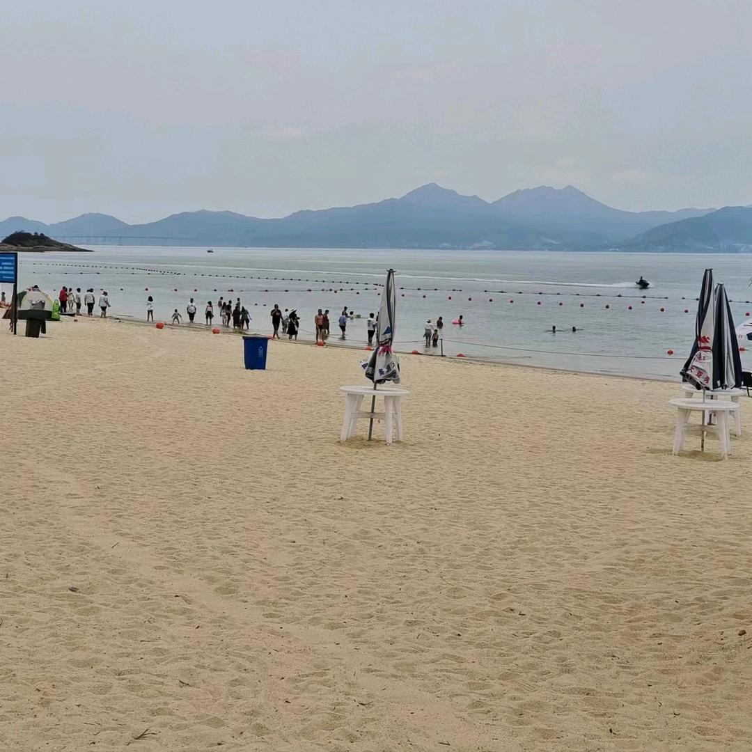 Warten auf die 等待未来