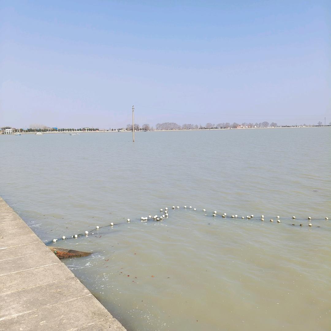 姐是~限量版 🌵🌵🌹🌹🌹