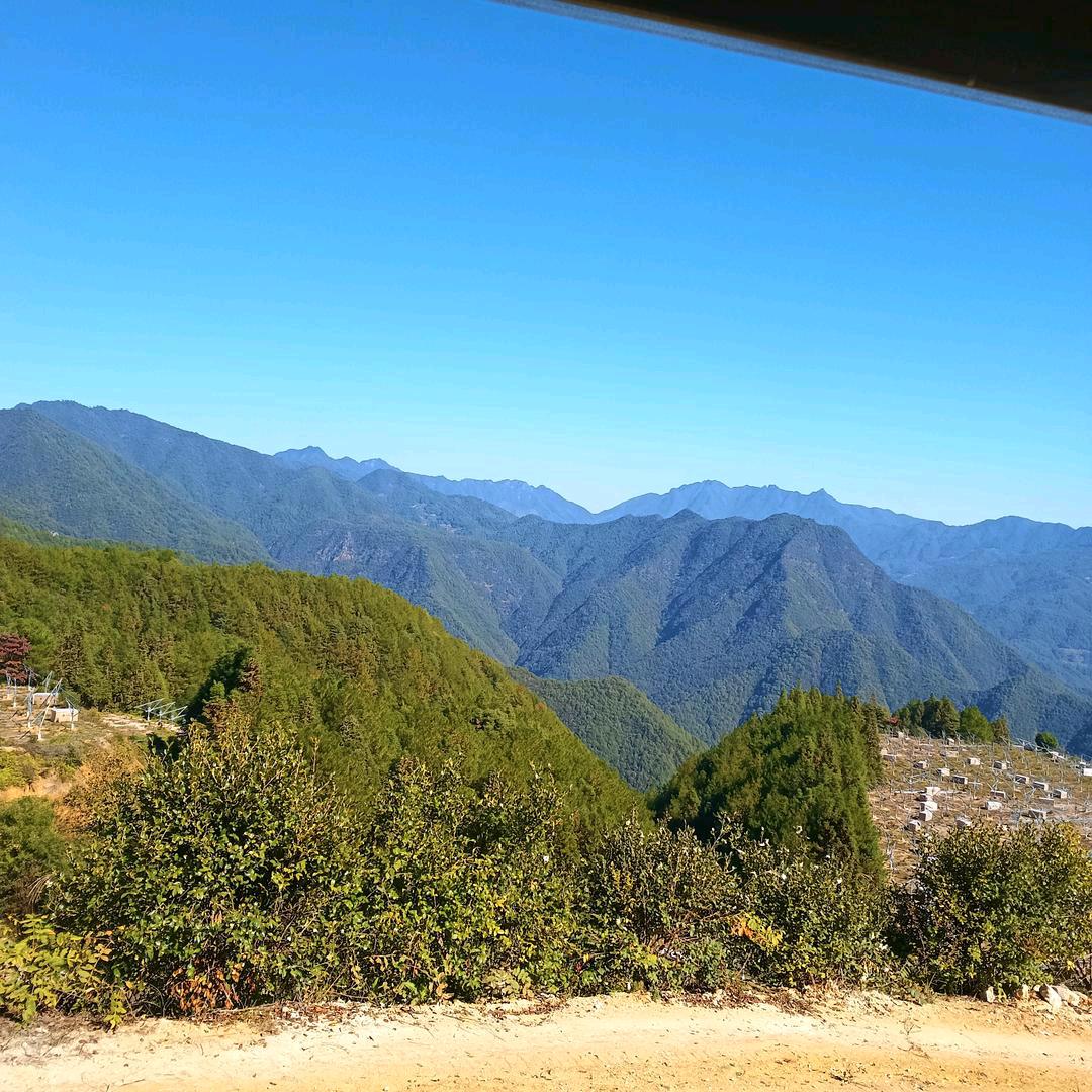 云游天下