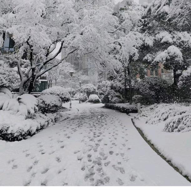 冬天的雪头像