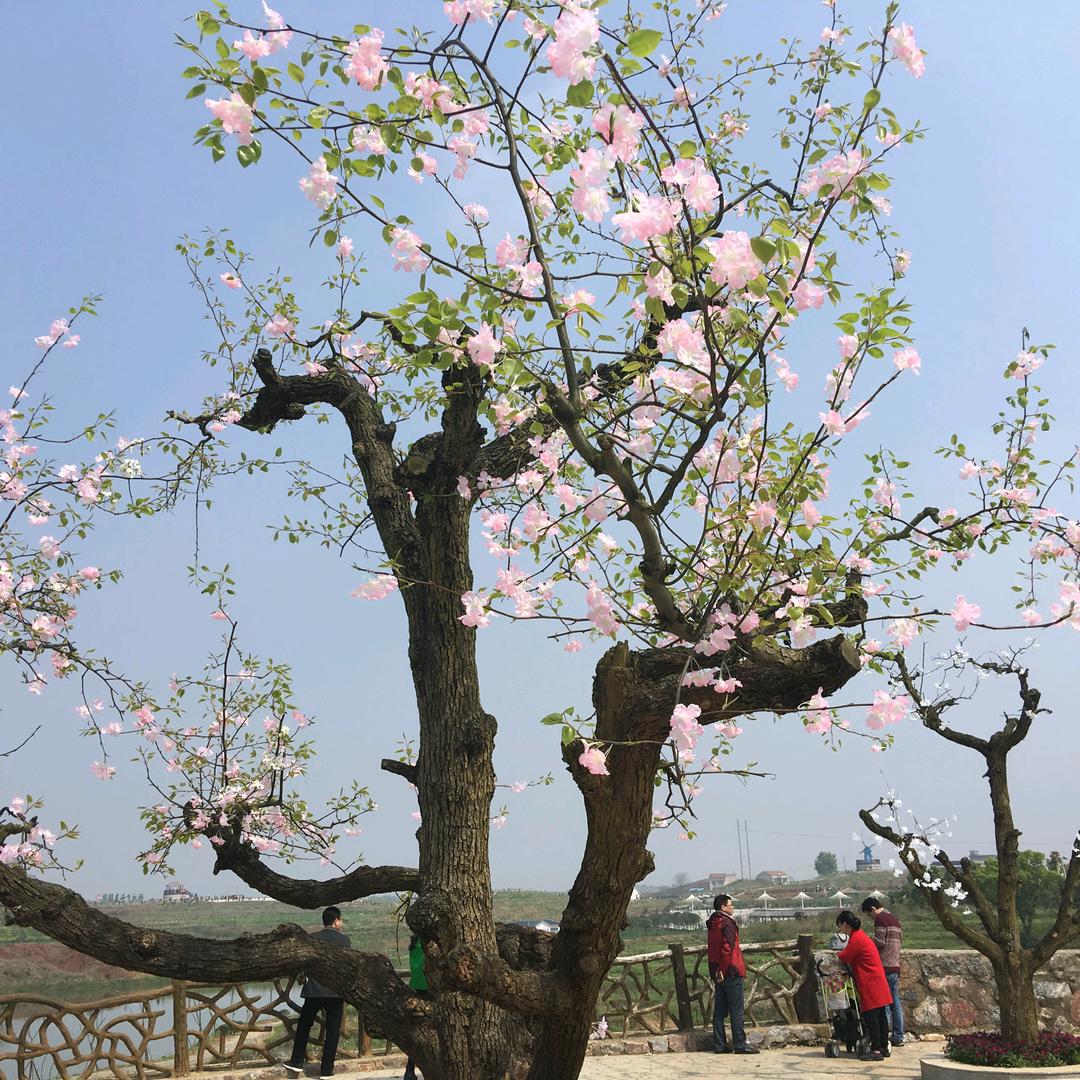 今生最好的遇见