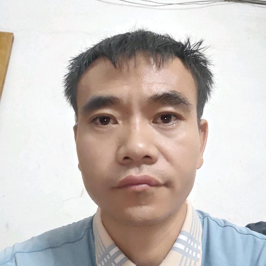 追蜜蜂闯天涯