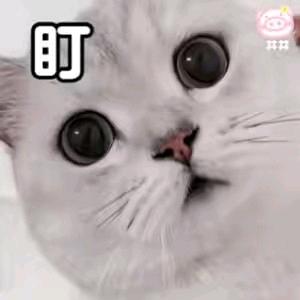 大牛起点